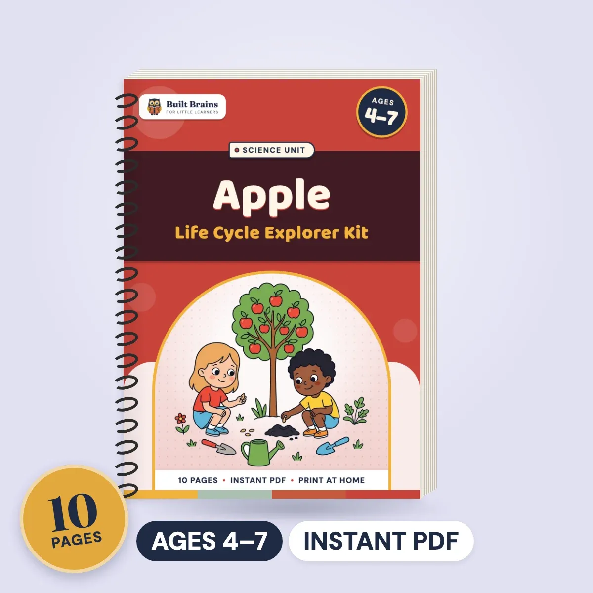 Apple Life Cycle Explorer Kit