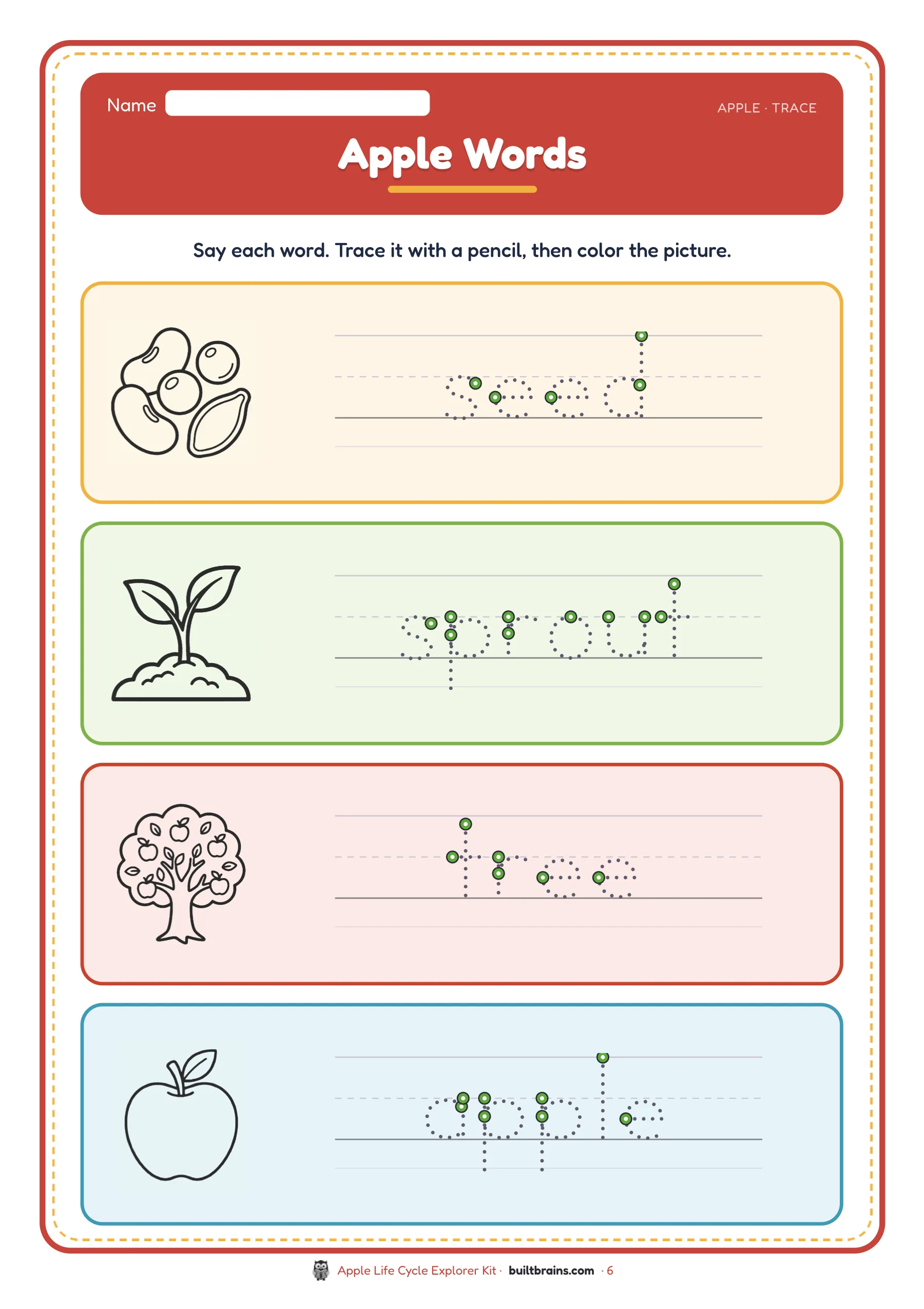 Apple Life Cycle Explorer Kit — page preview 4
