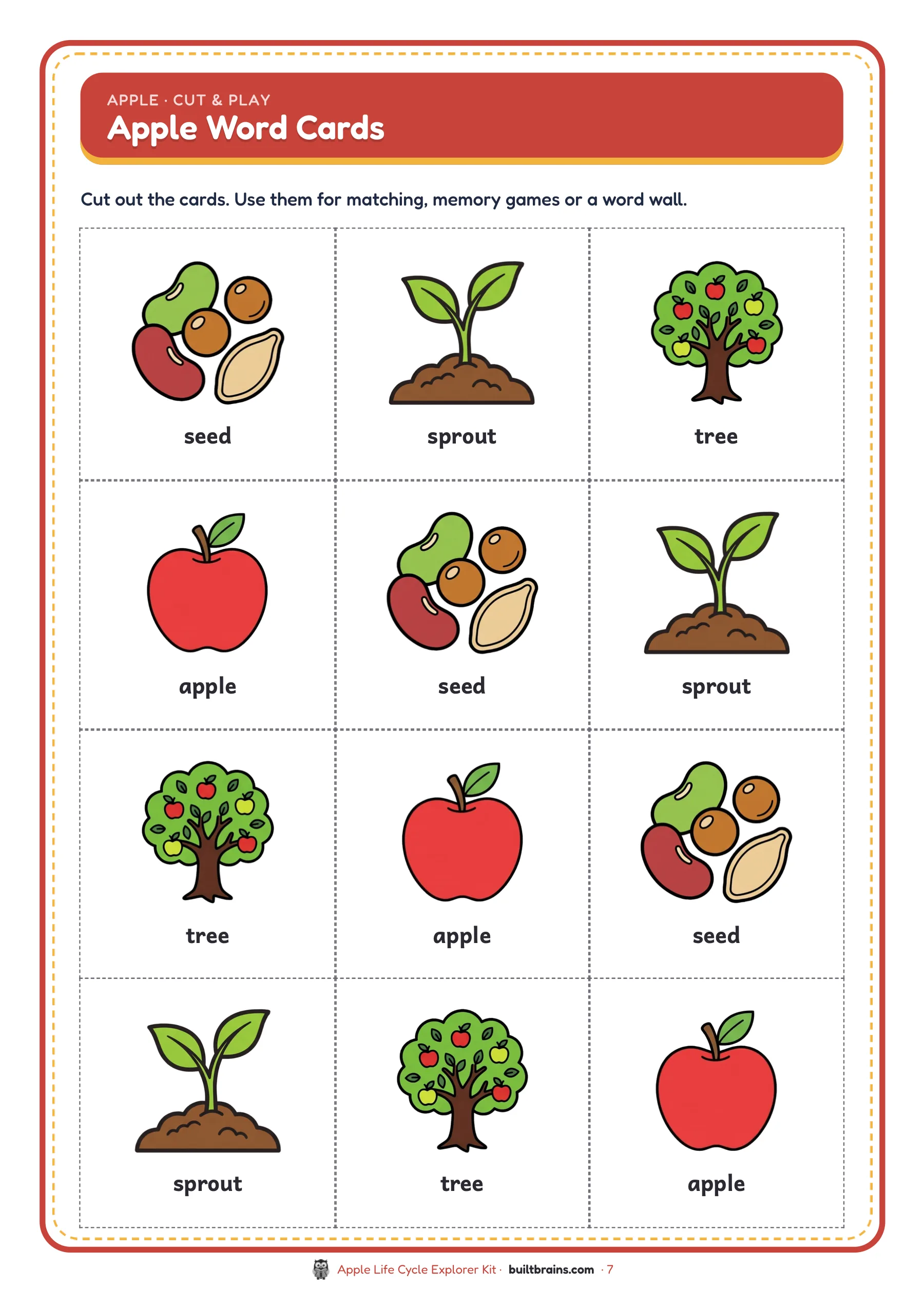 Apple Life Cycle Explorer Kit — page preview 5