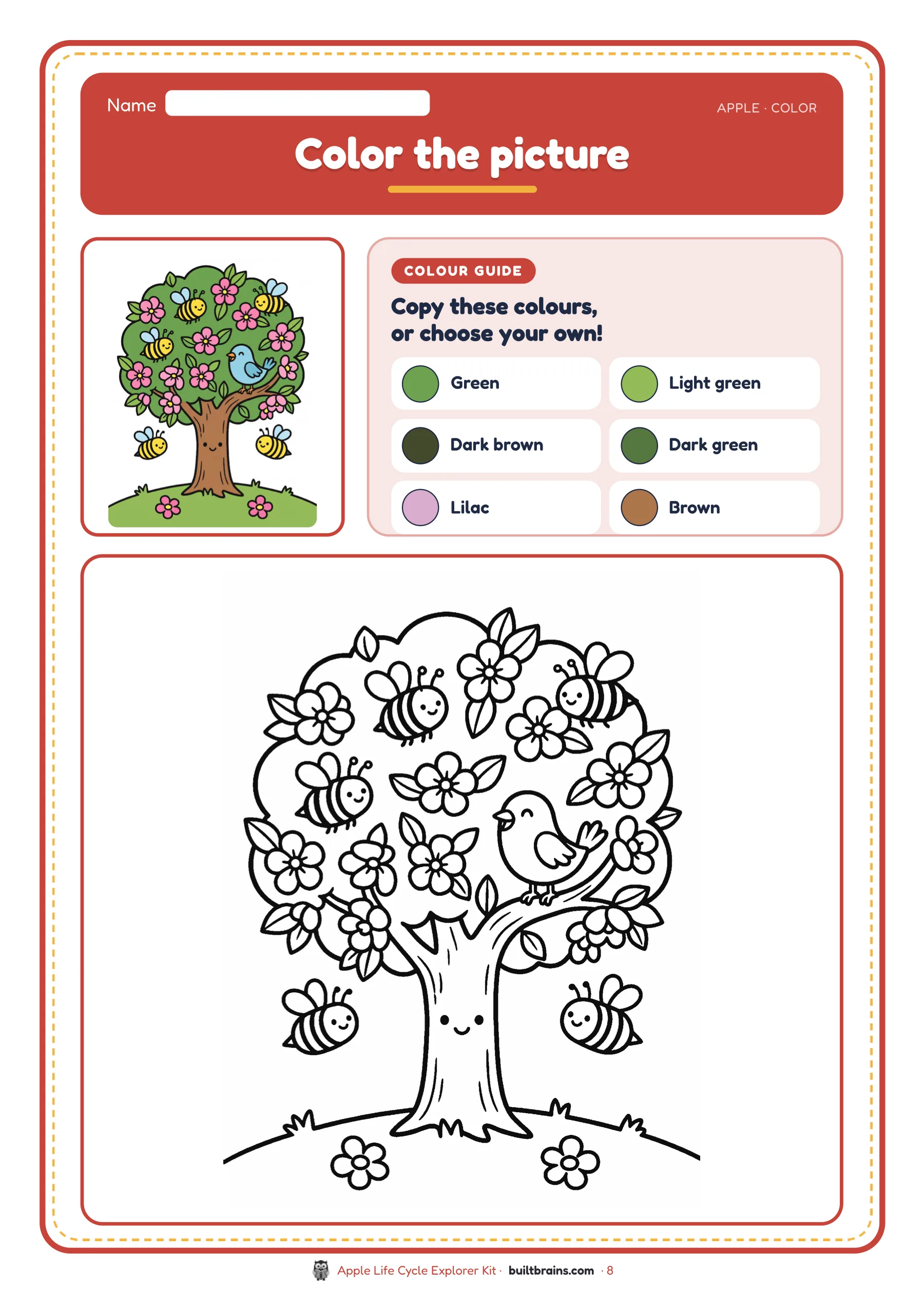 Apple Life Cycle Explorer Kit — page preview 6