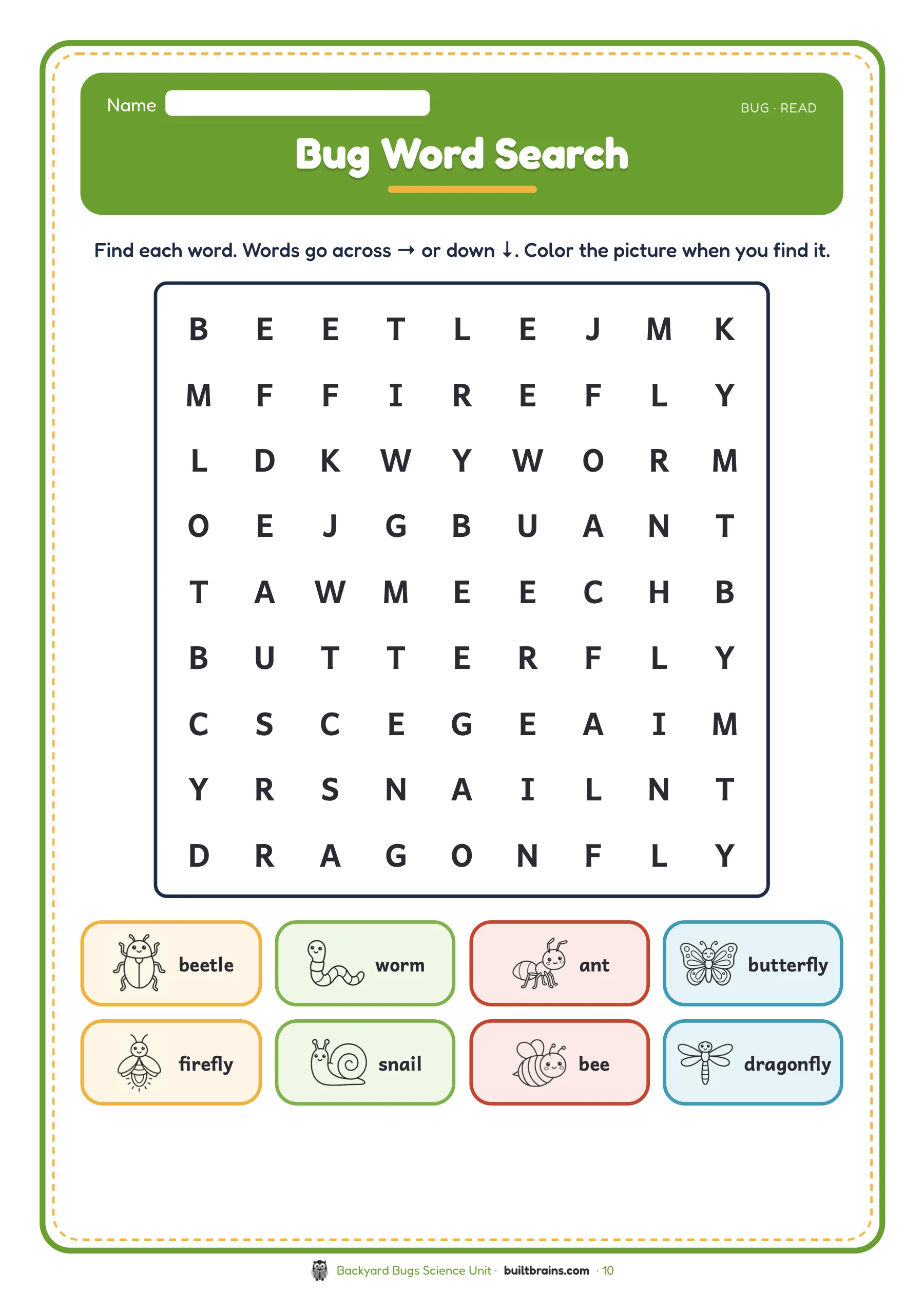 Backyard Bugs Science Unit — page preview 4