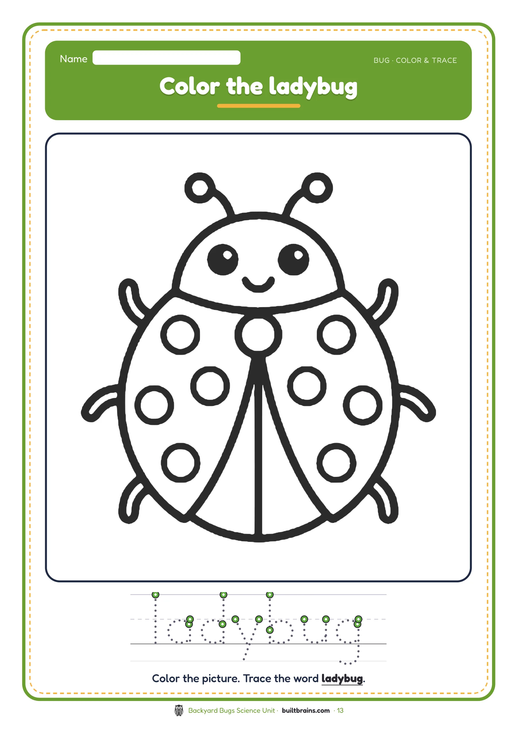 Backyard Bugs Science Unit — page preview 7