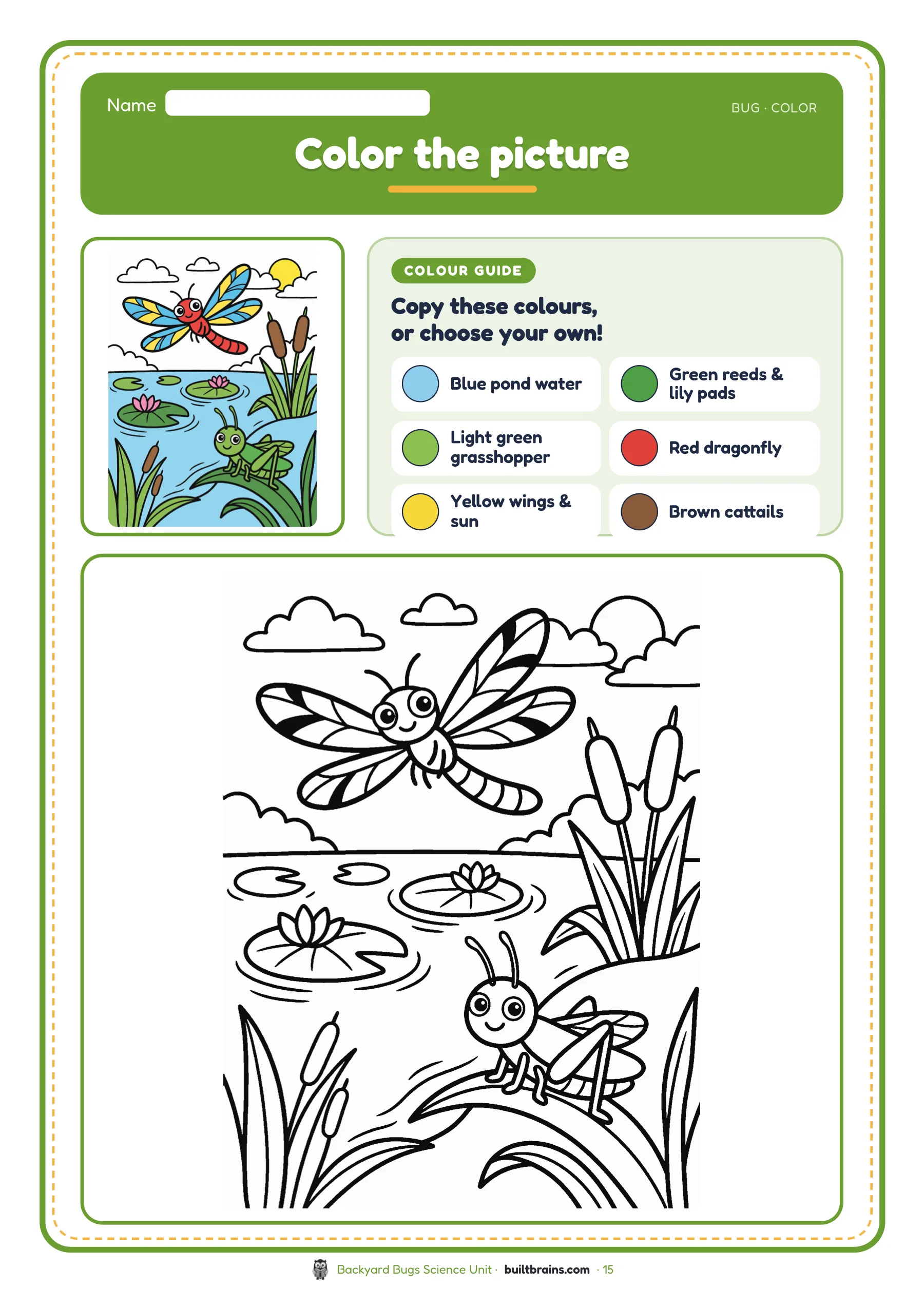Backyard Bugs Science Unit — page preview 8