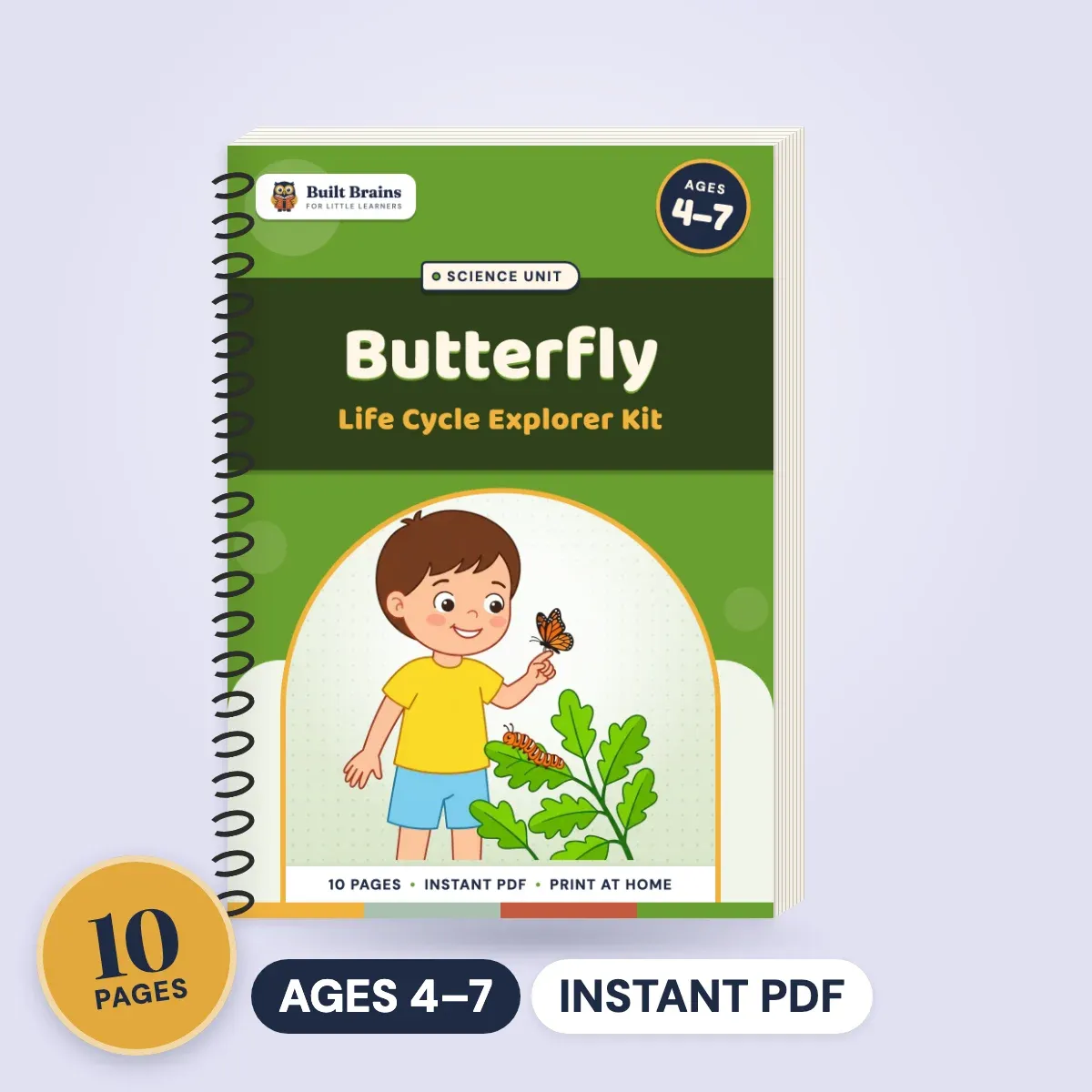 Butterfly Life Cycle Explorer Kit