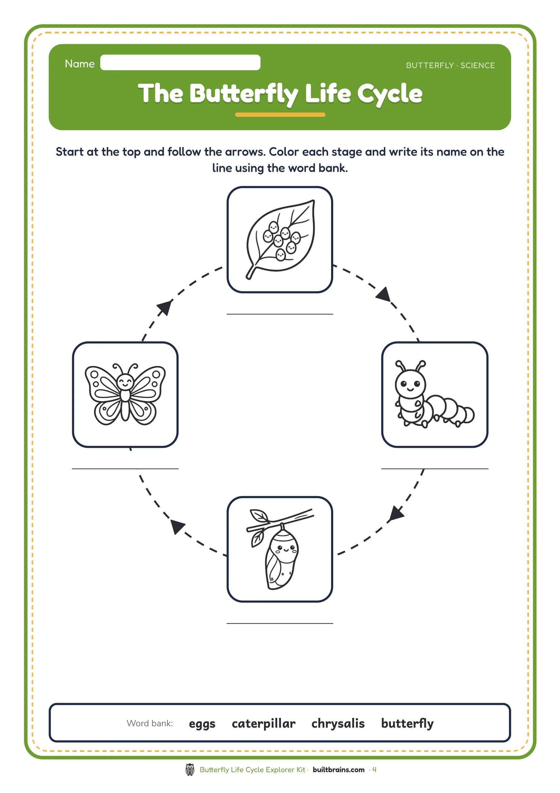 Butterfly Life Cycle Explorer Kit — page preview 2