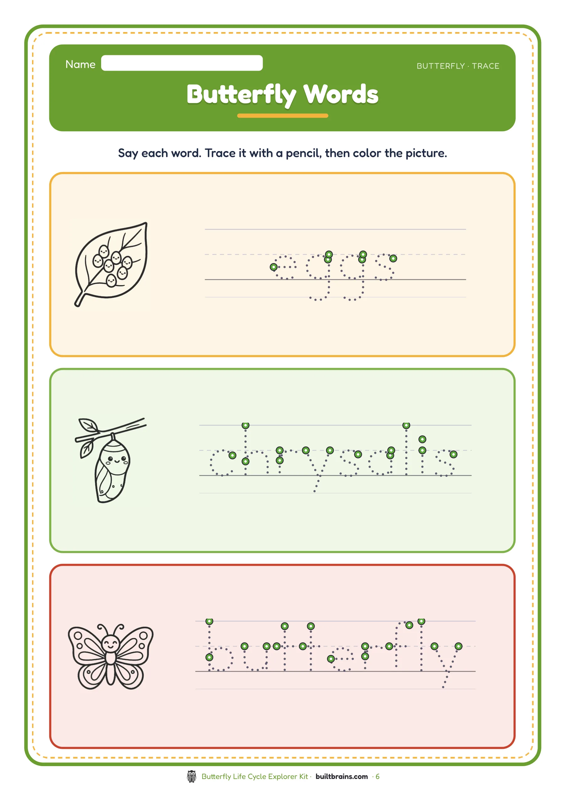 Butterfly Life Cycle Explorer Kit — page preview 4