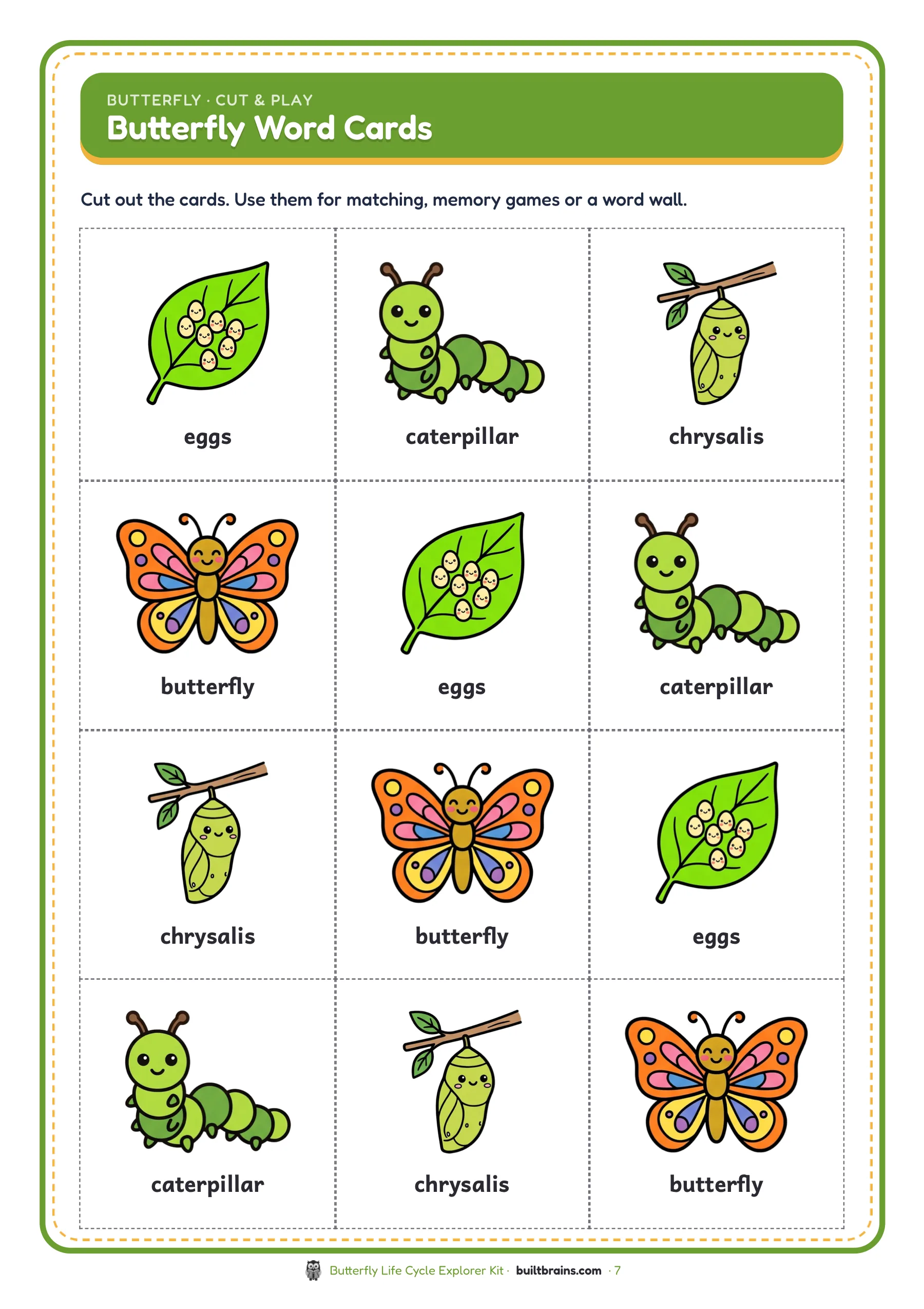 Butterfly Life Cycle Explorer Kit — page preview 5
