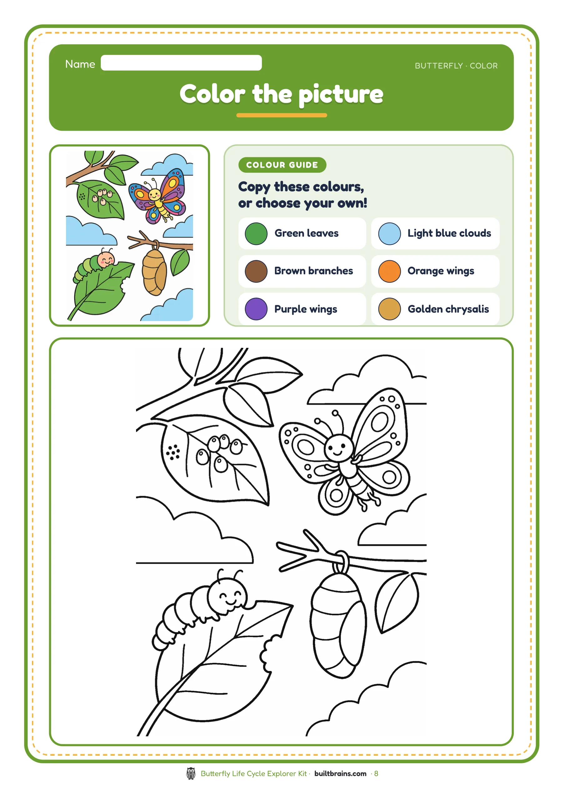 Butterfly Life Cycle Explorer Kit — page preview 6