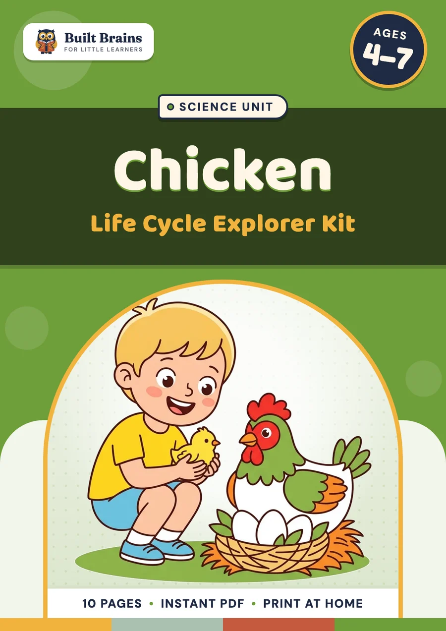 Chicken Life Cycle Explorer Kit