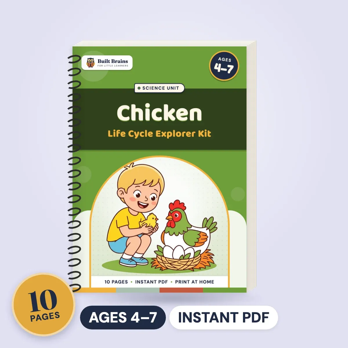 Chicken Life Cycle Explorer Kit