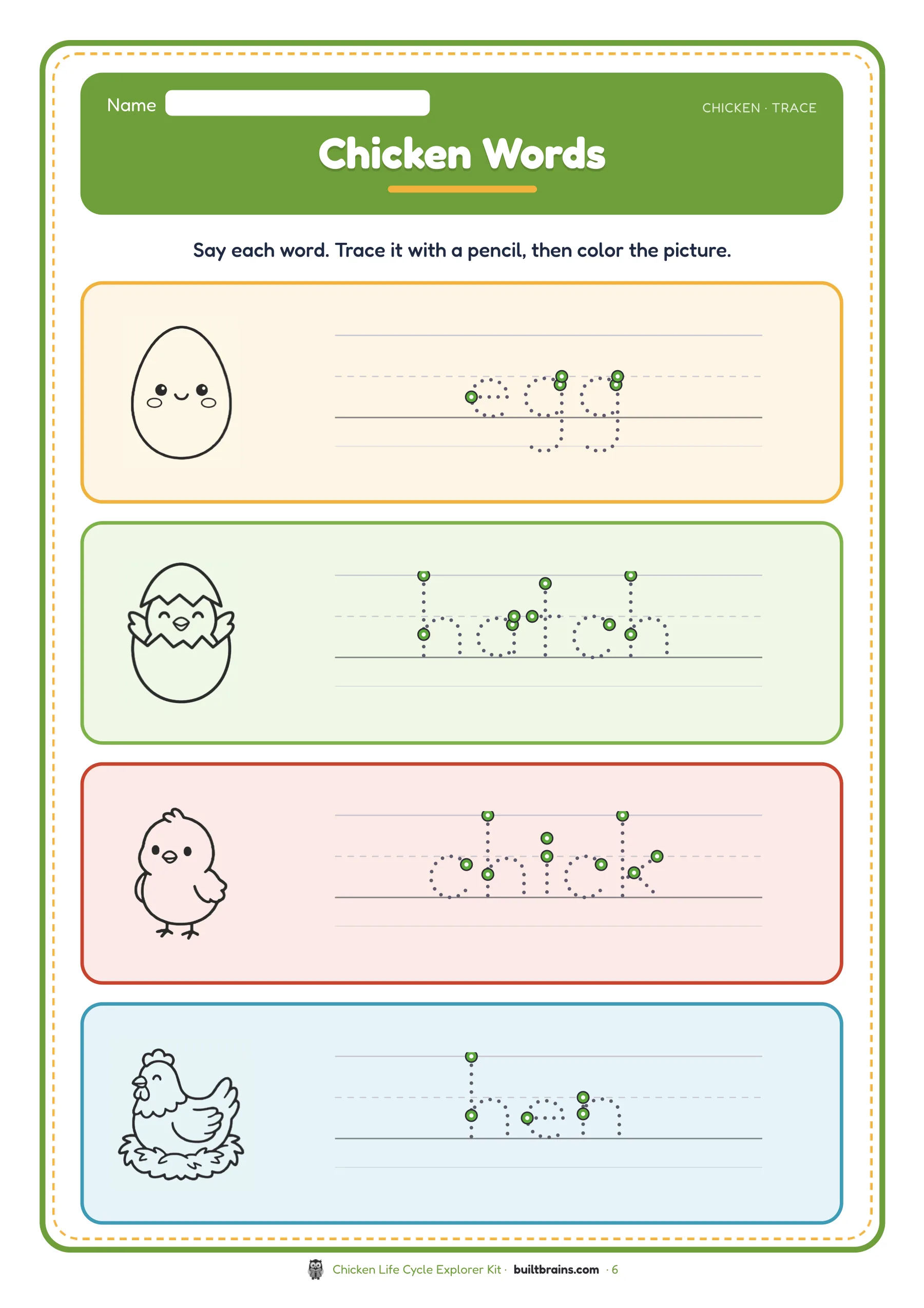 Chicken Life Cycle Explorer Kit — page preview 4