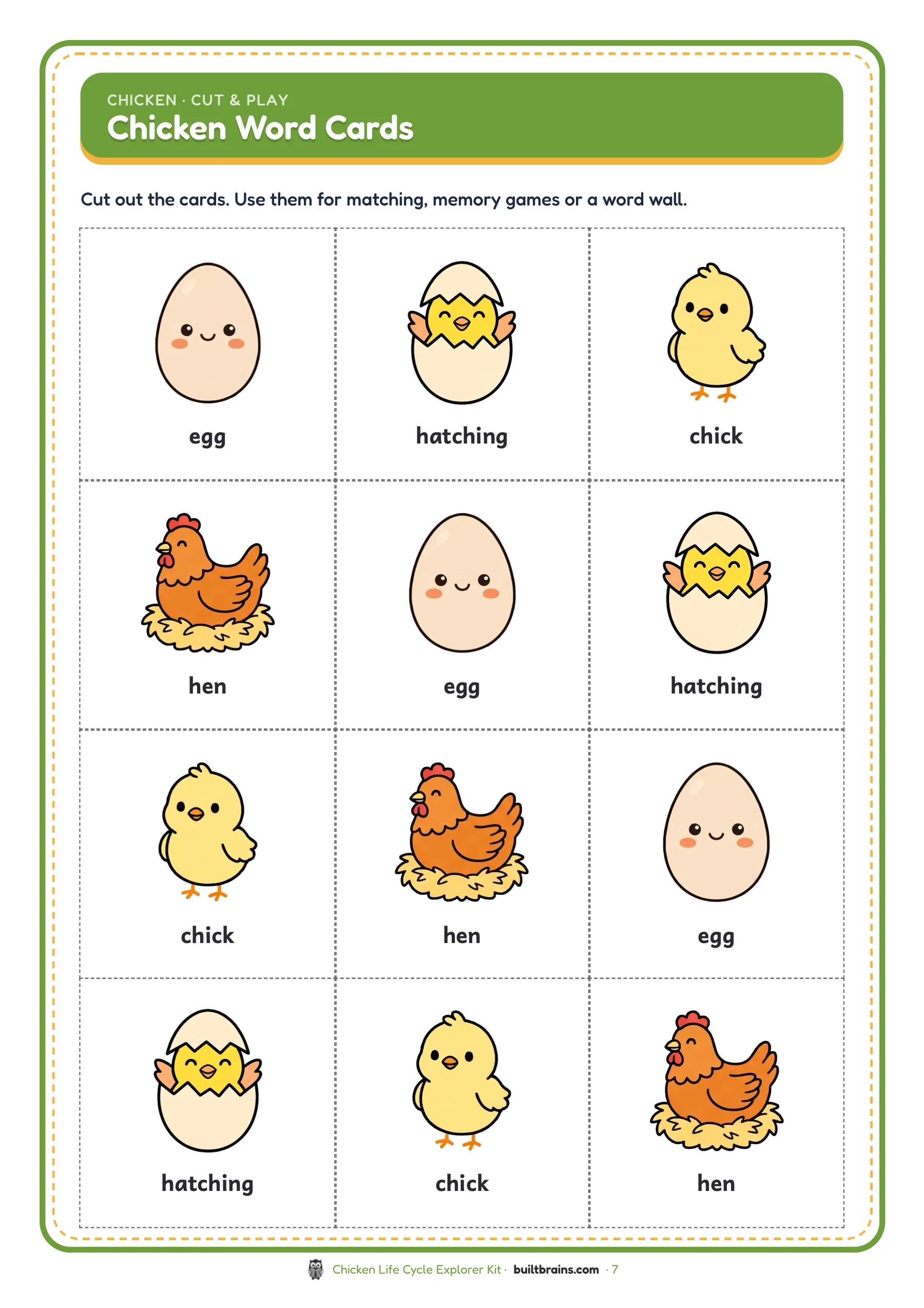 Chicken Life Cycle Explorer Kit — page preview 5