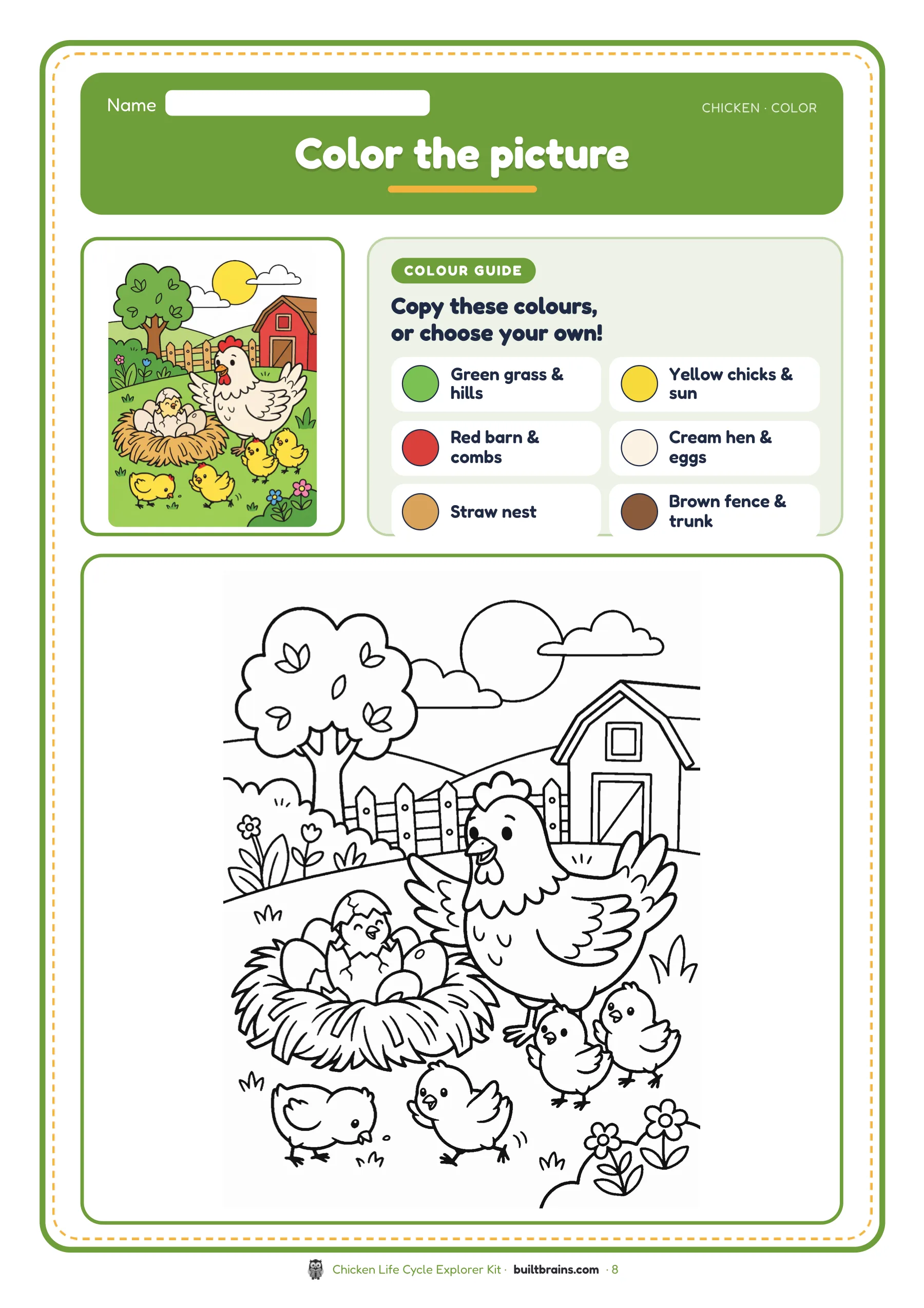 Chicken Life Cycle Explorer Kit — page preview 6