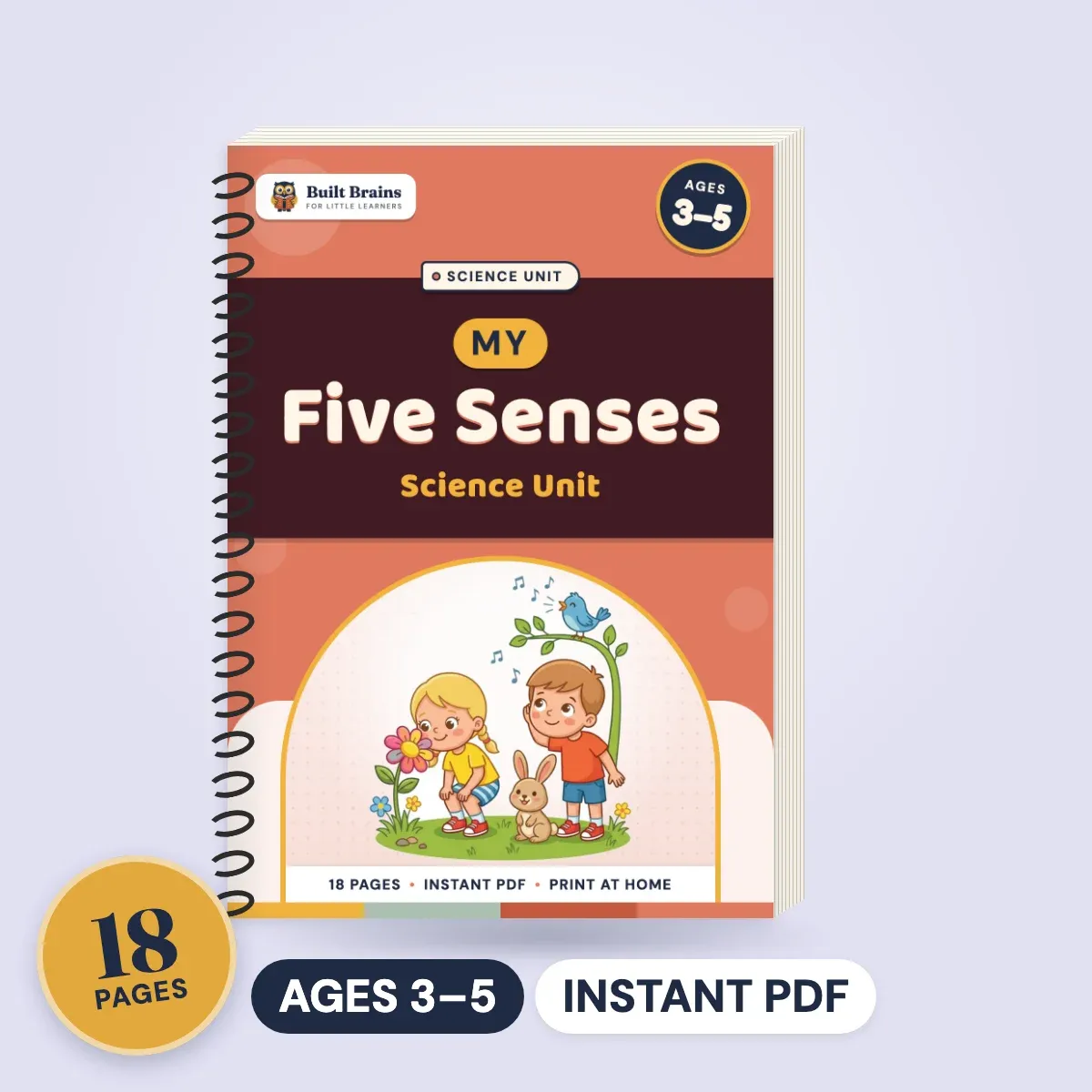 My Five Senses Science Unit