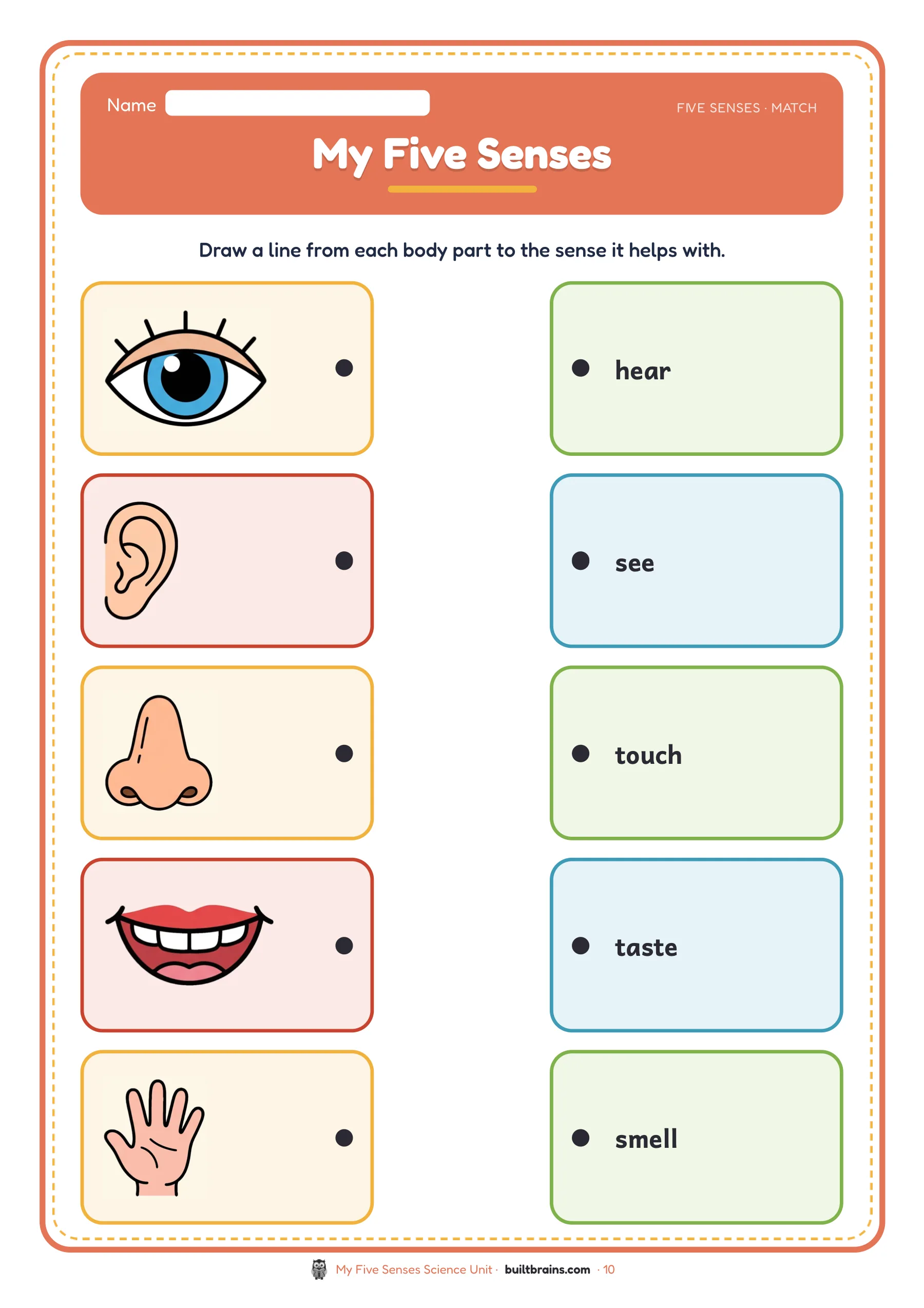 My Five Senses Science Unit — page preview 4