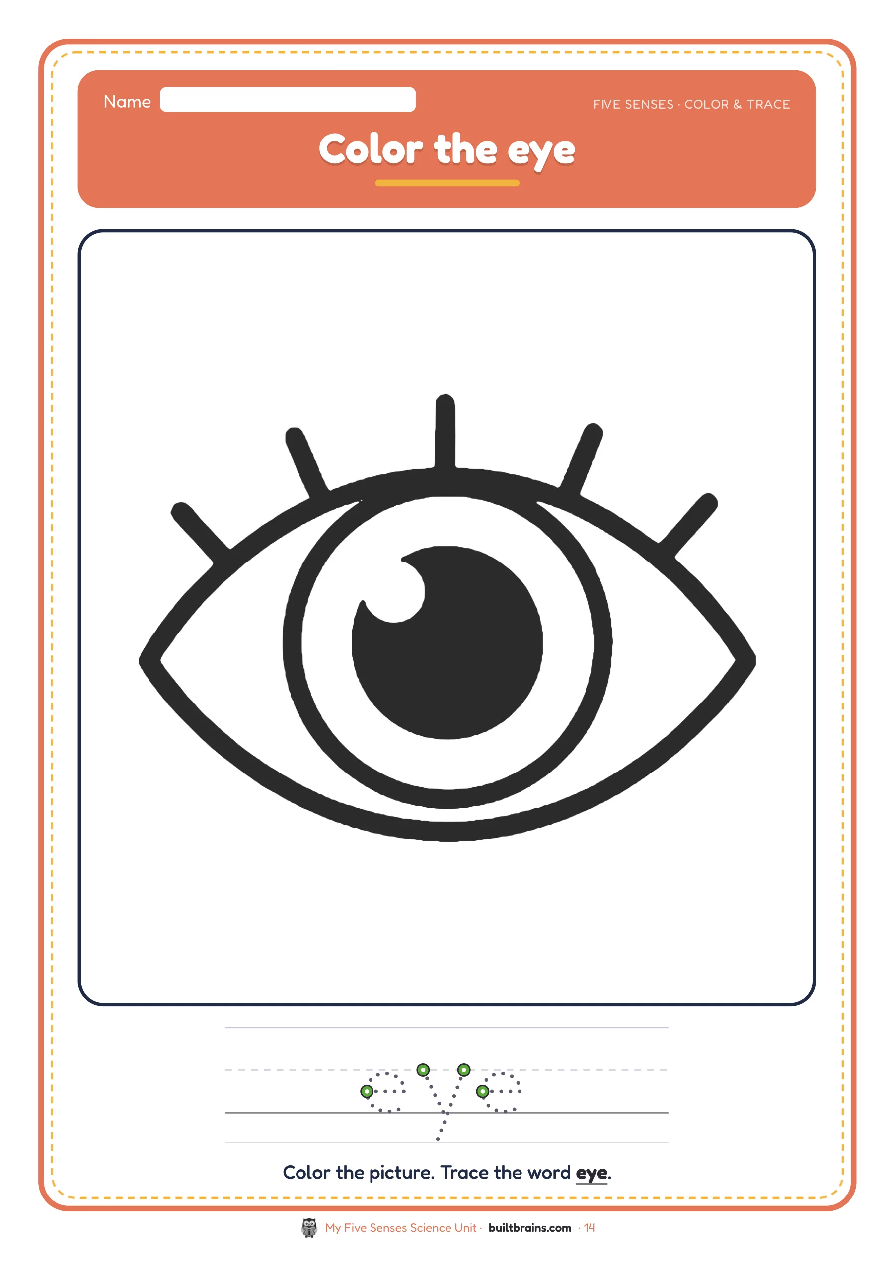 My Five Senses Science Unit — page preview 7