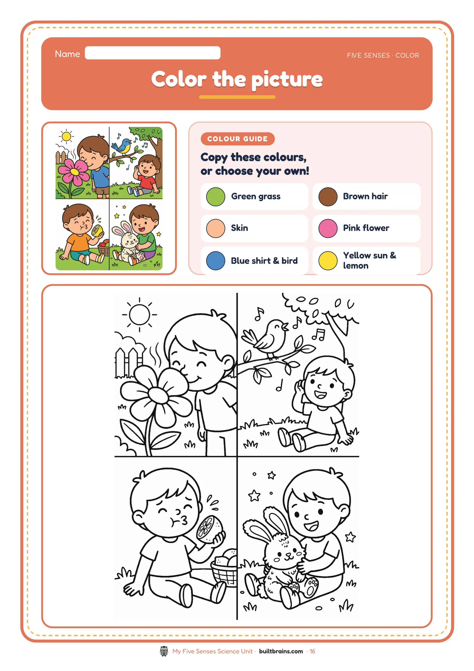 My Five Senses Science Unit — page preview 8