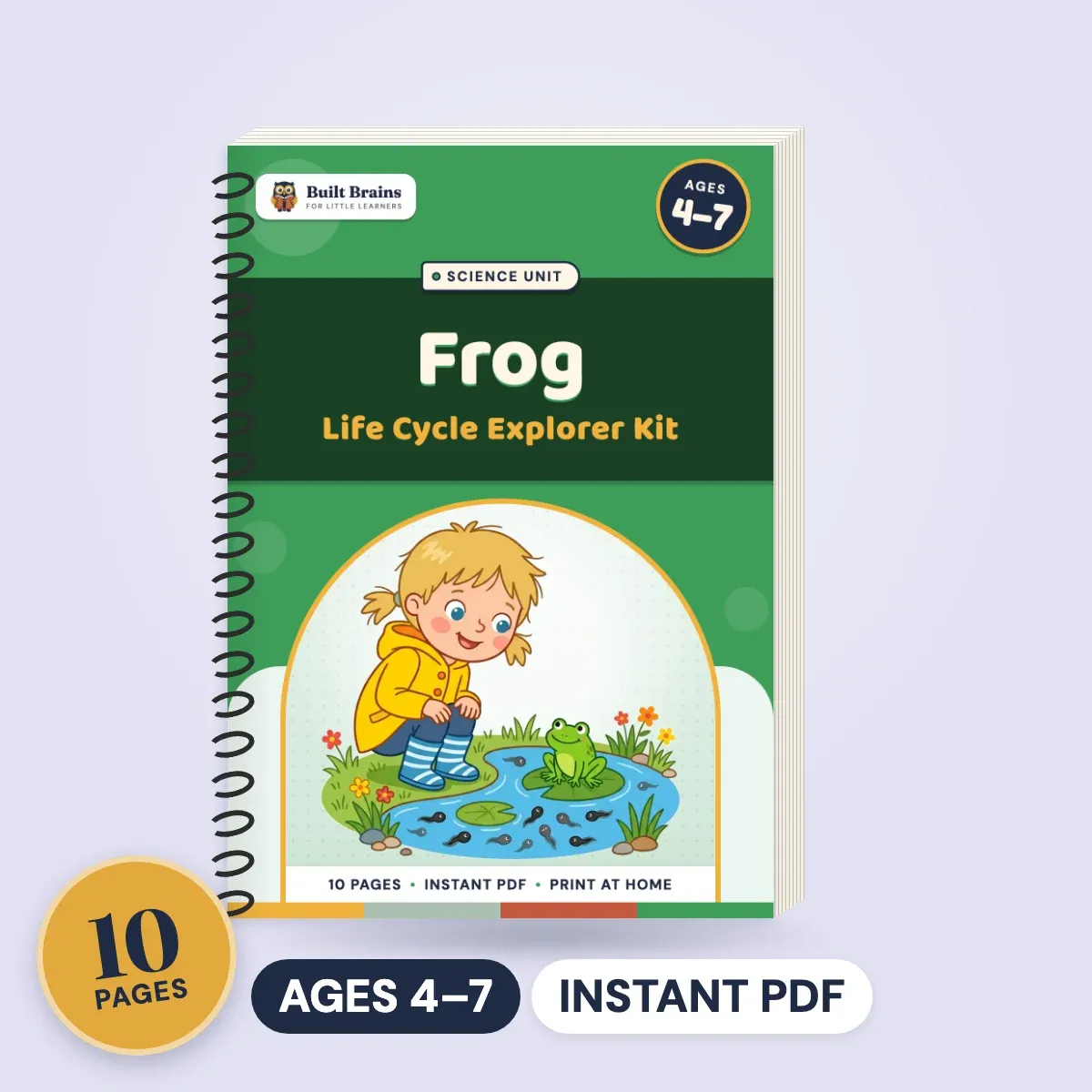 Frog Life Cycle Explorer Kit