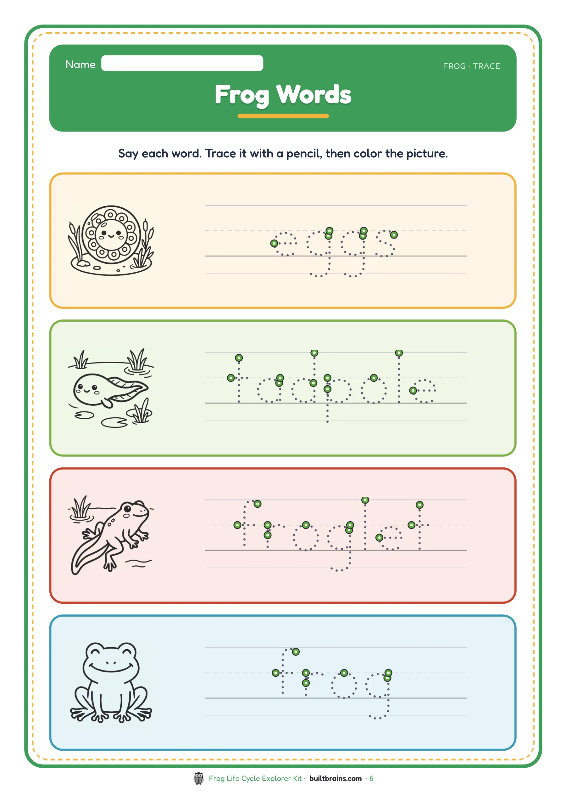 Frog Life Cycle Explorer Kit — page preview 4
