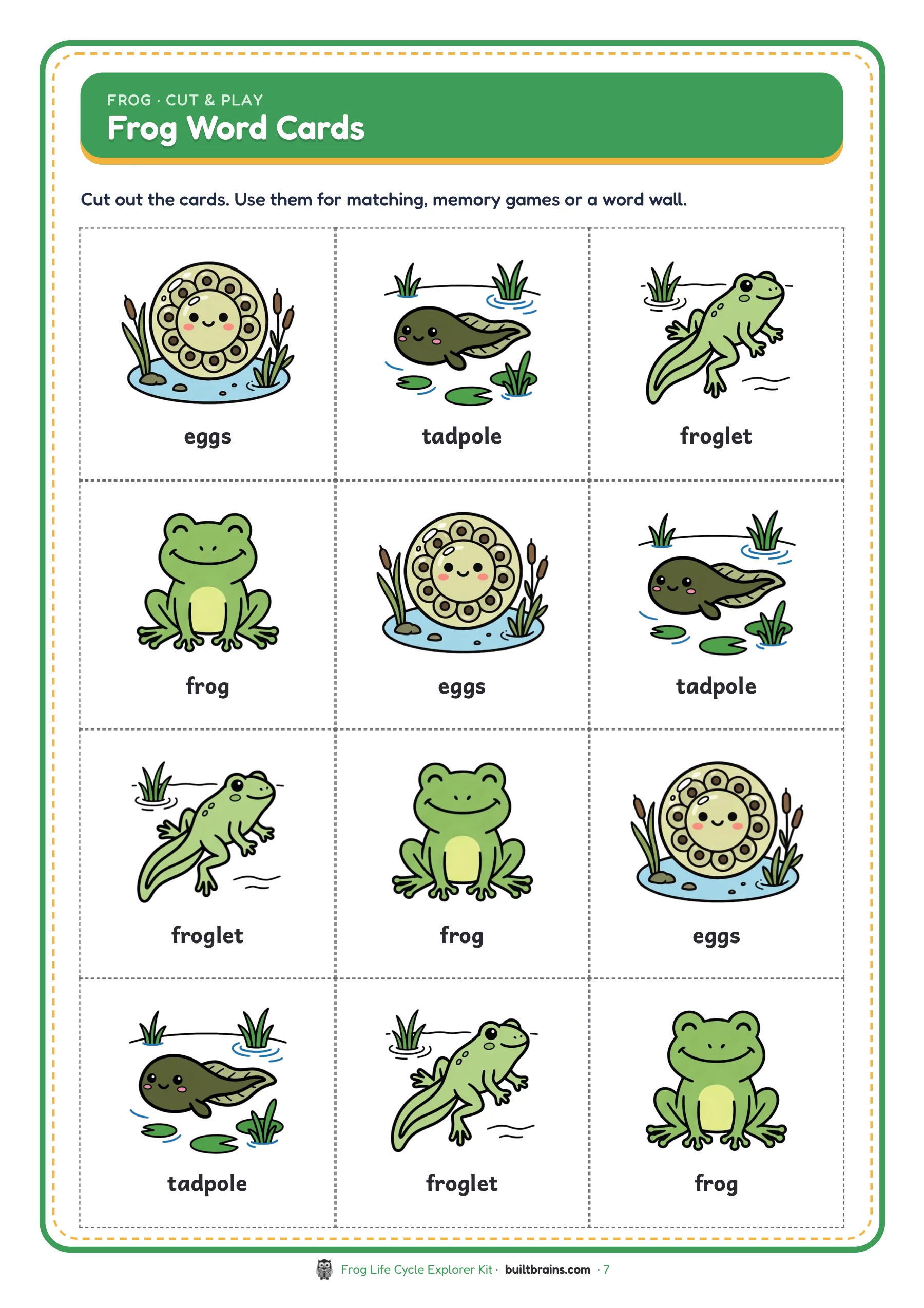 Frog Life Cycle Explorer Kit — page preview 5