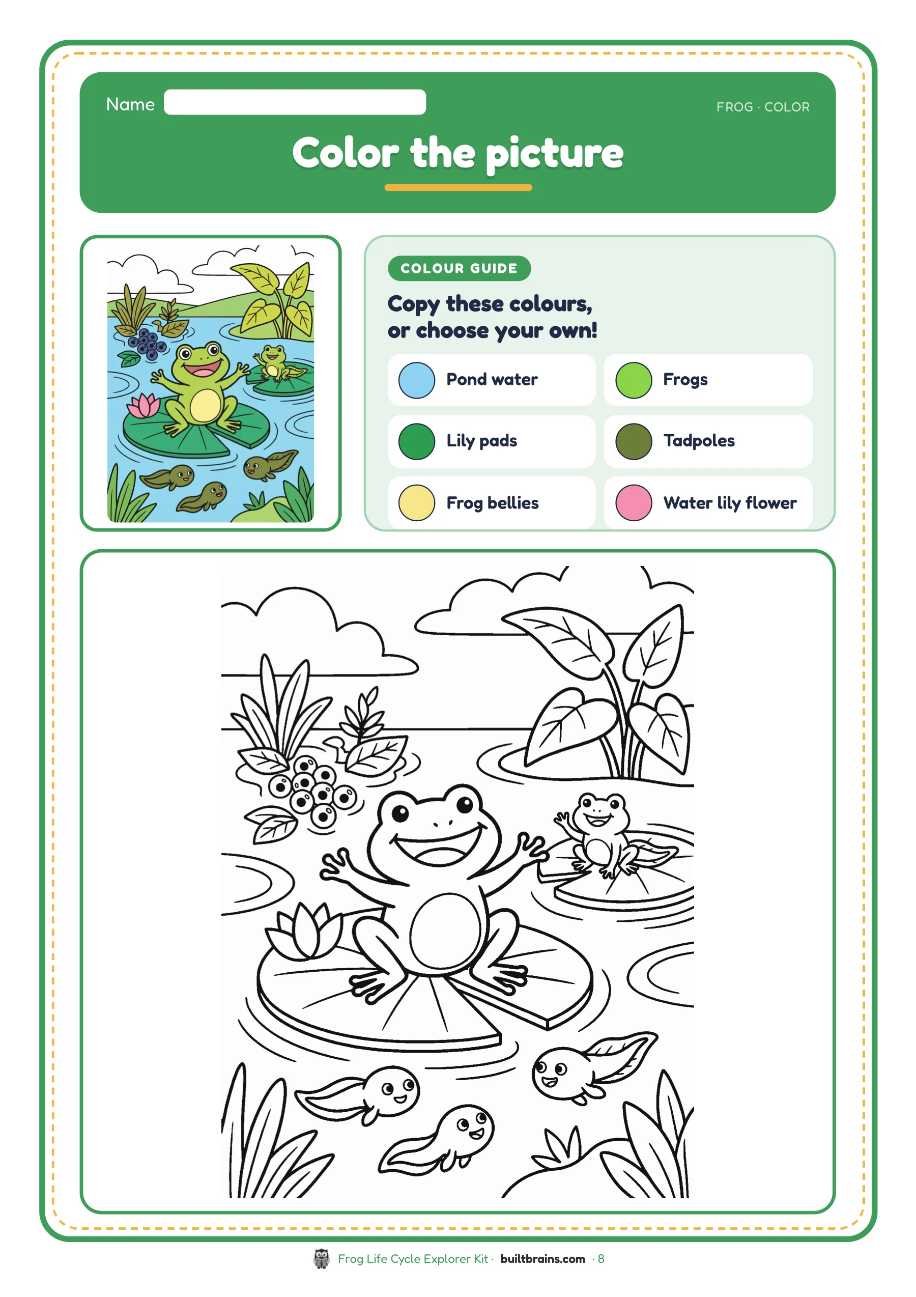 Frog Life Cycle Explorer Kit — page preview 6