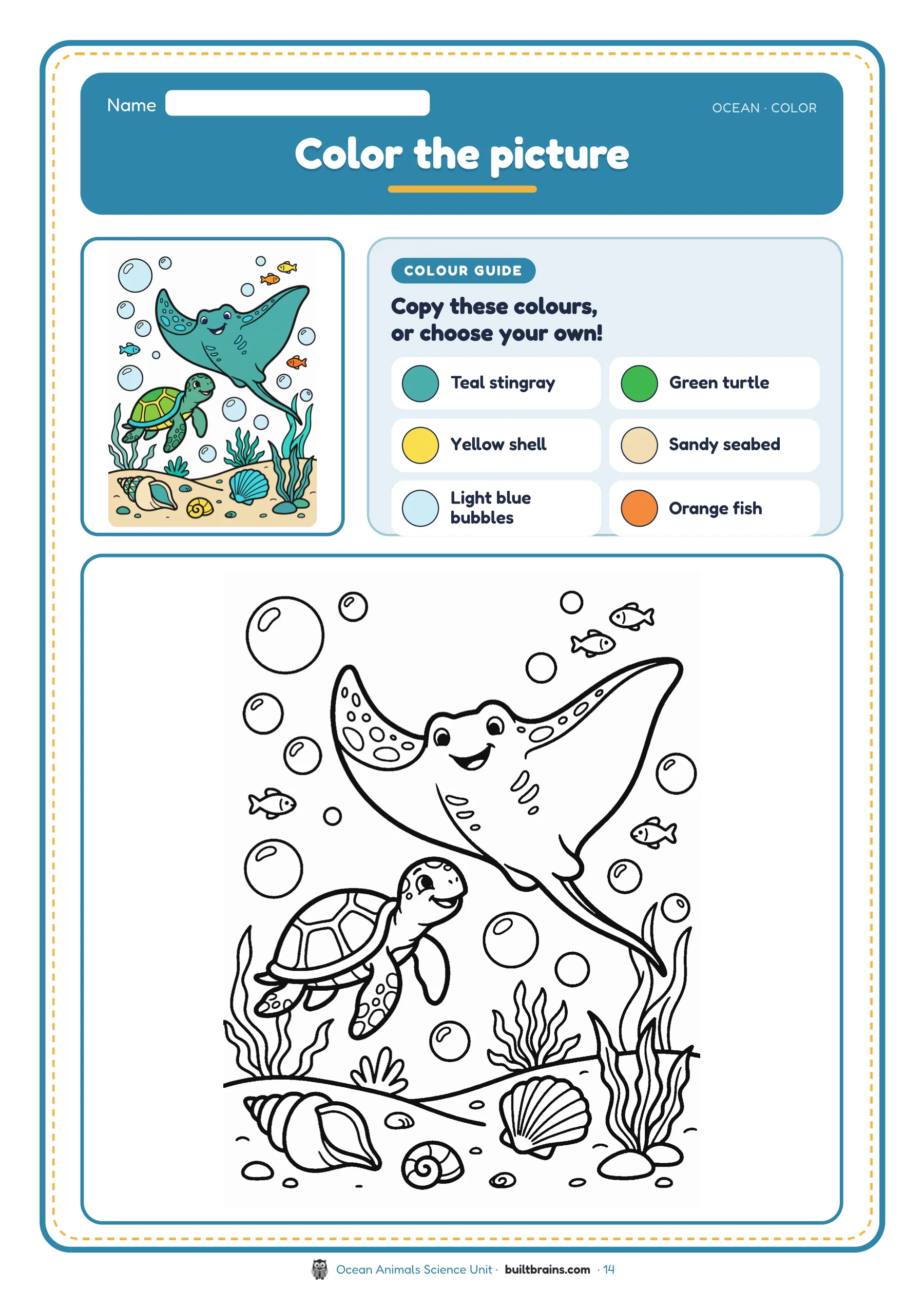 Ocean Animals Science Unit — page preview 8