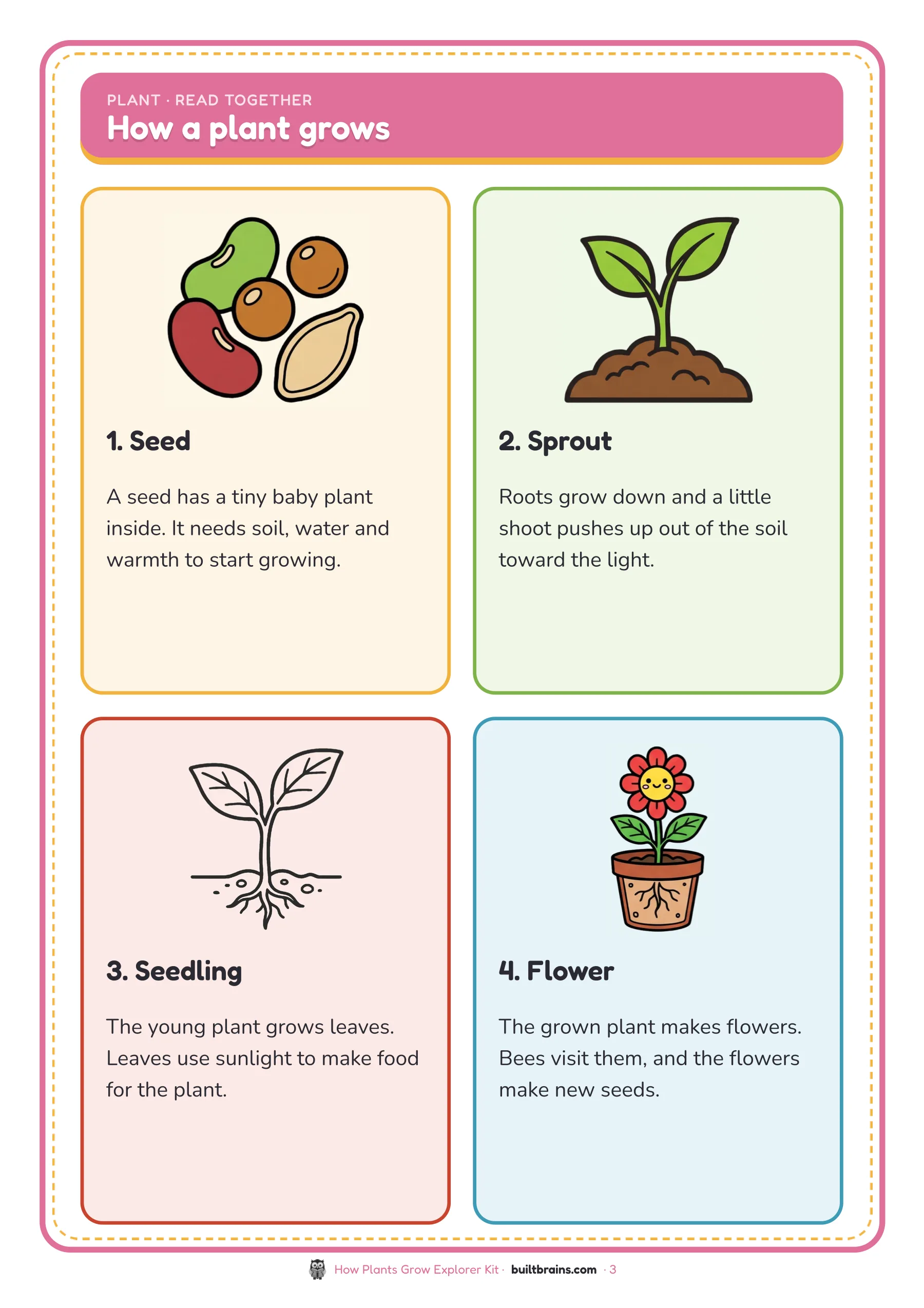 How Plants Grow Explorer Kit — page preview 1