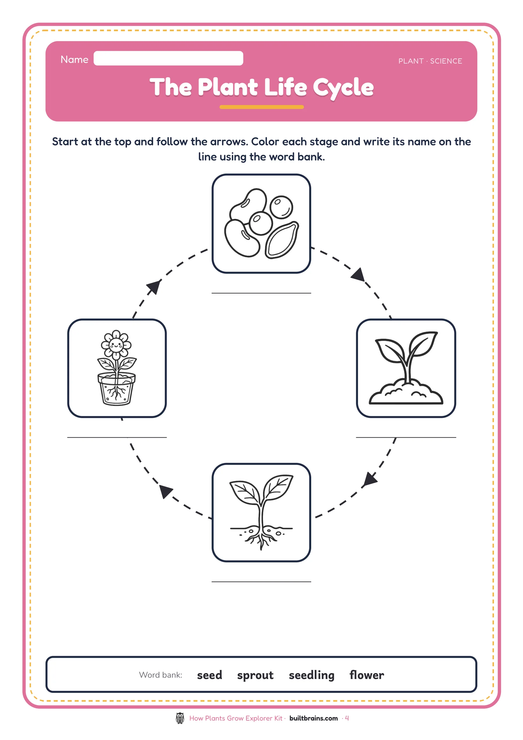 How Plants Grow Explorer Kit — page preview 2