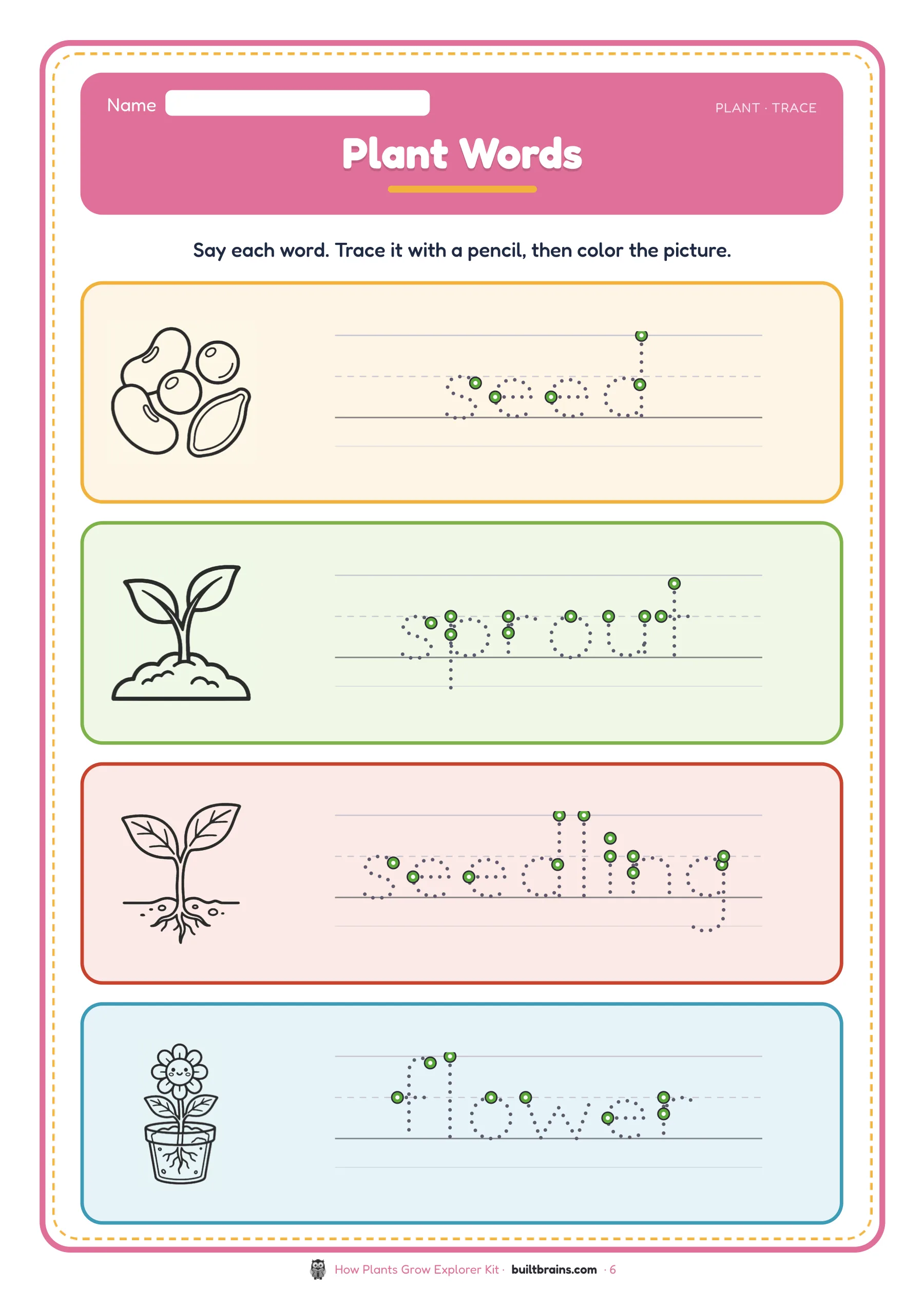 How Plants Grow Explorer Kit — page preview 4
