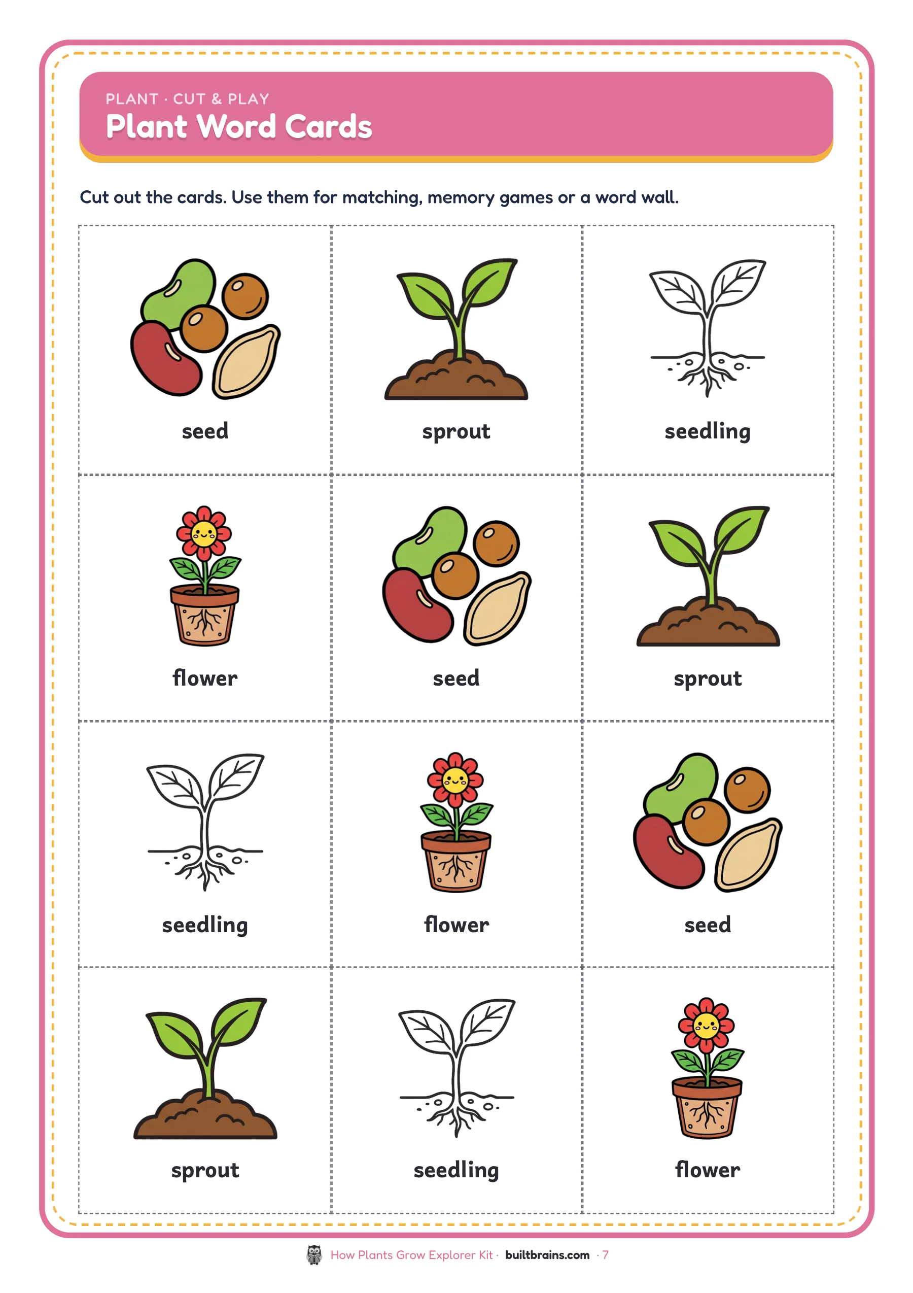 How Plants Grow Explorer Kit — page preview 5