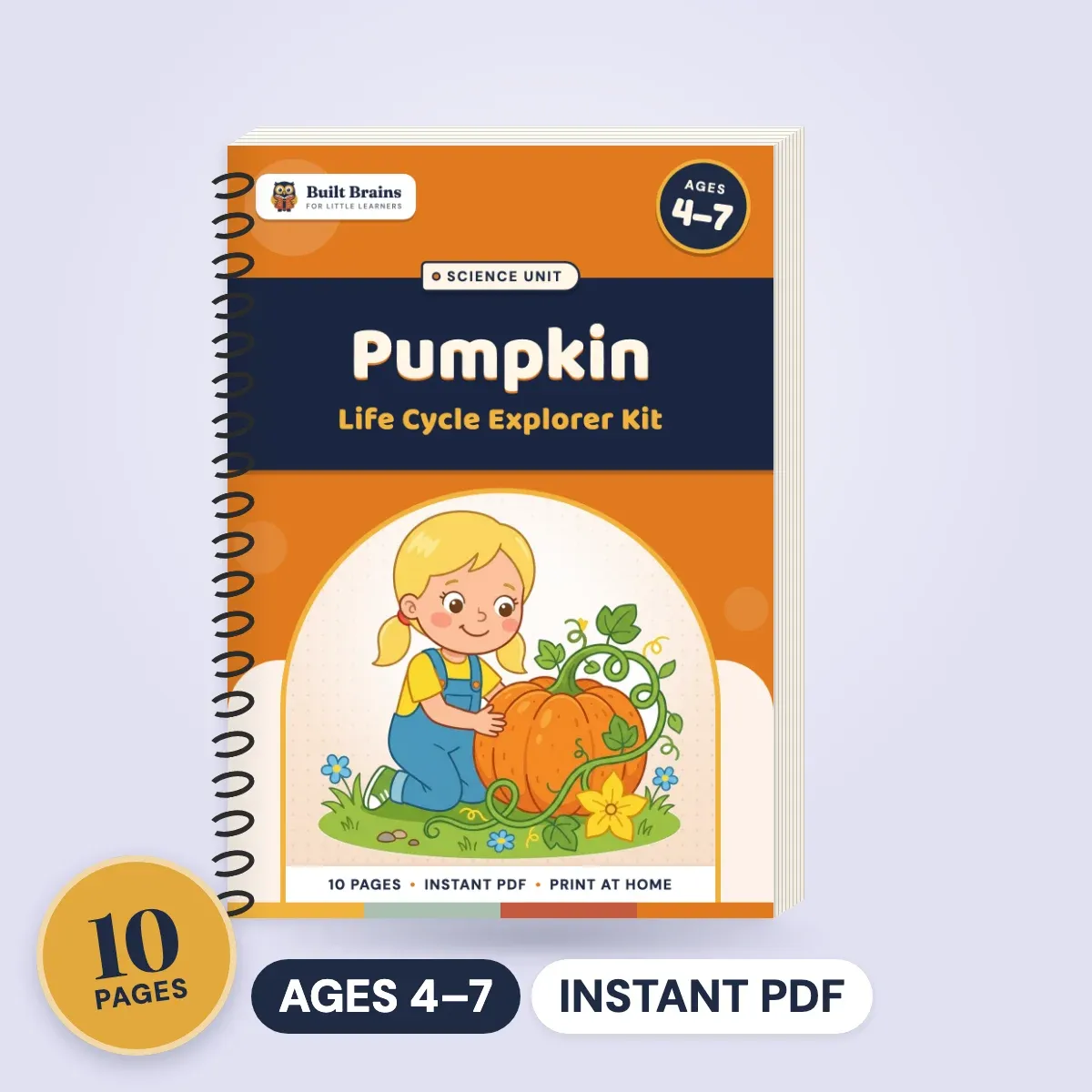 Pumpkin Life Cycle Explorer Kit