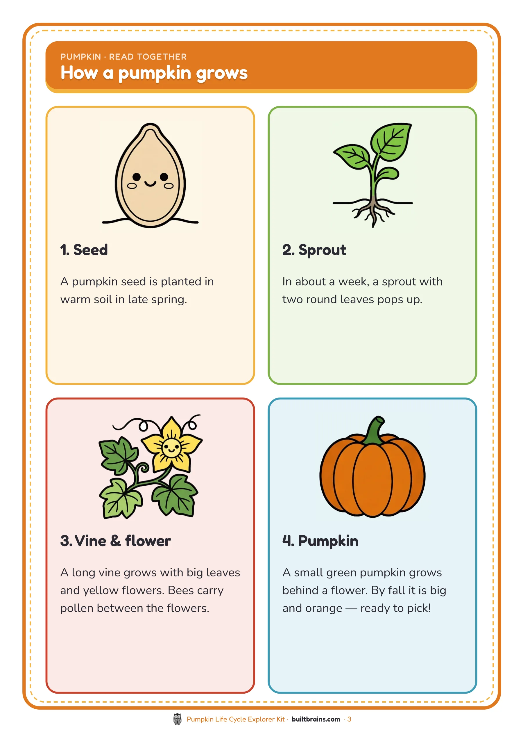 Pumpkin Life Cycle Explorer Kit — page preview 1