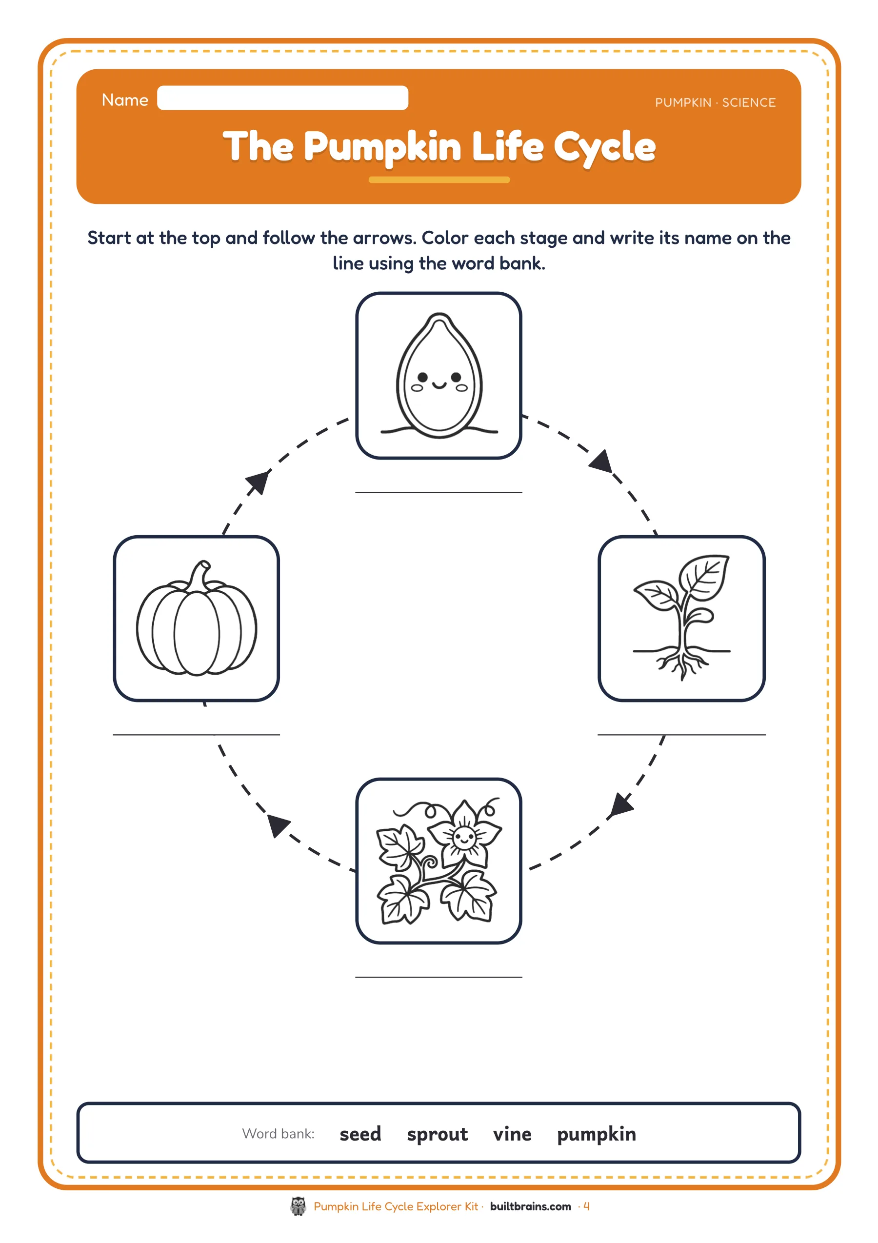 Pumpkin Life Cycle Explorer Kit — page preview 2